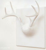 Ghost Antler Coat Rack