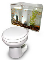 Aquariass