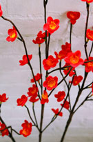 Blossom Branch