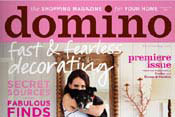 domino magazine
