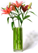 Stem Vase